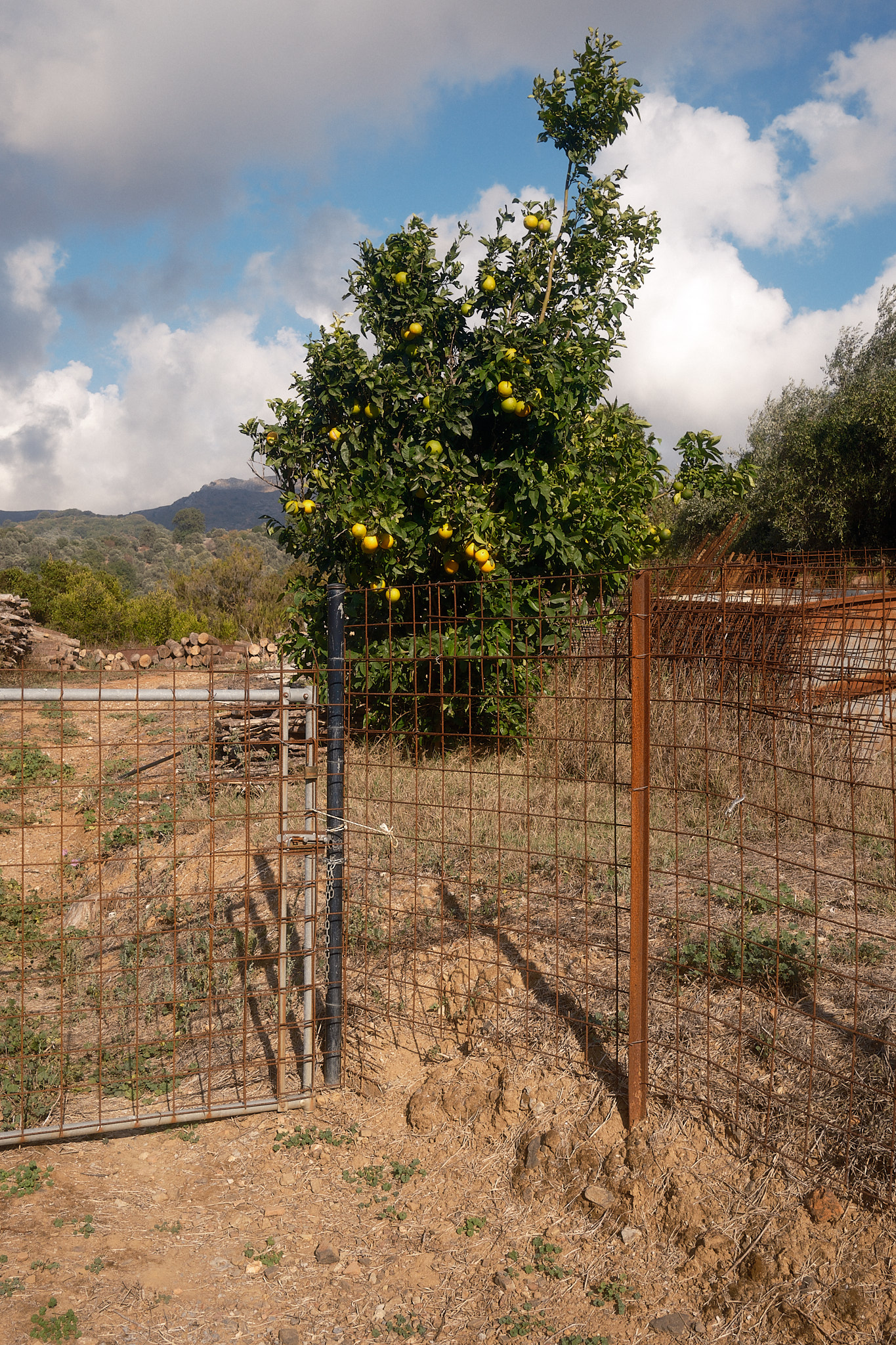 Damnoni, Crete, Greece