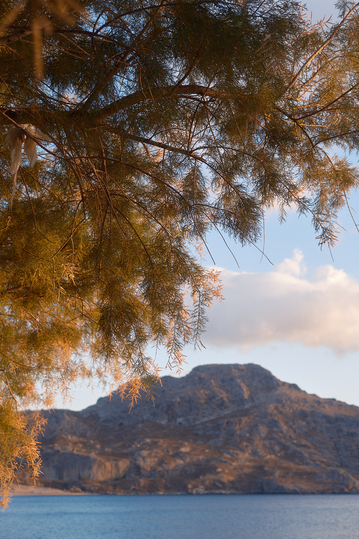 Damnoni, Crete, Greece