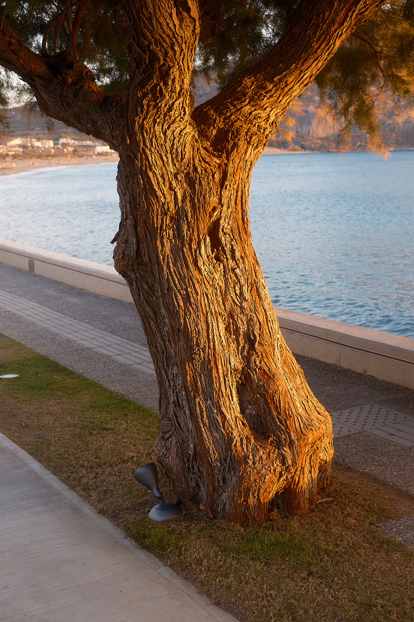 Damnoni, Crete, Greece