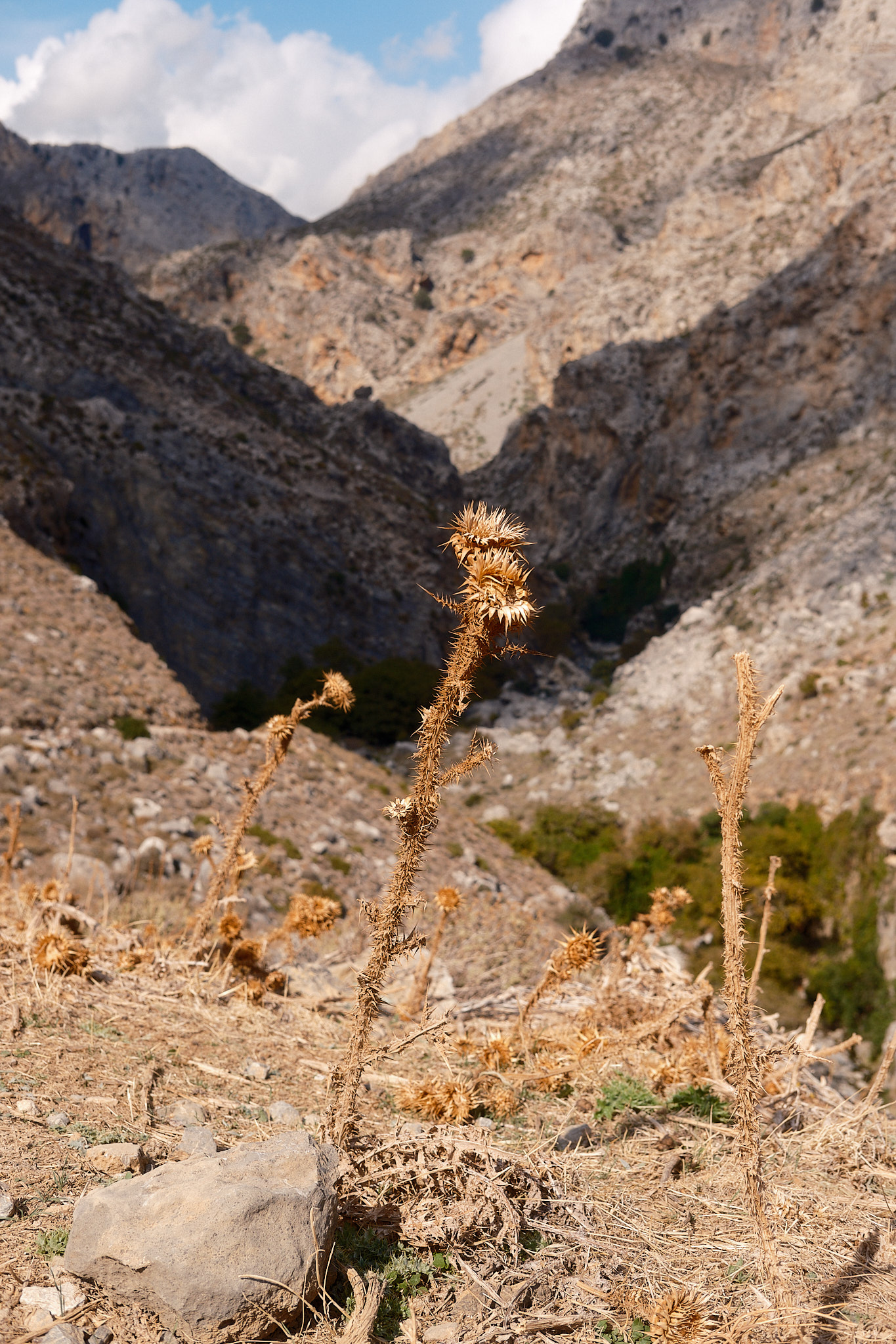 Kourtaliotiko Gorge, Crete, Greece