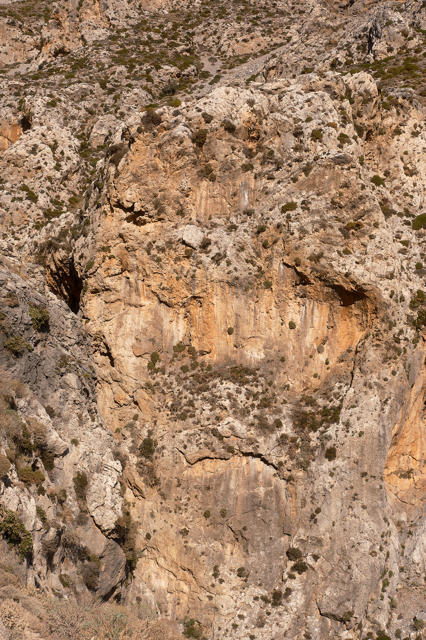 Kourtaliotiko Gorge, Crete, Greece