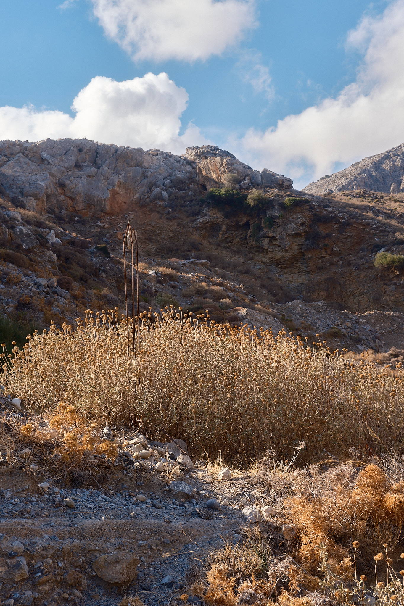 Kourtaliotiko Gorge, Crete, Greece