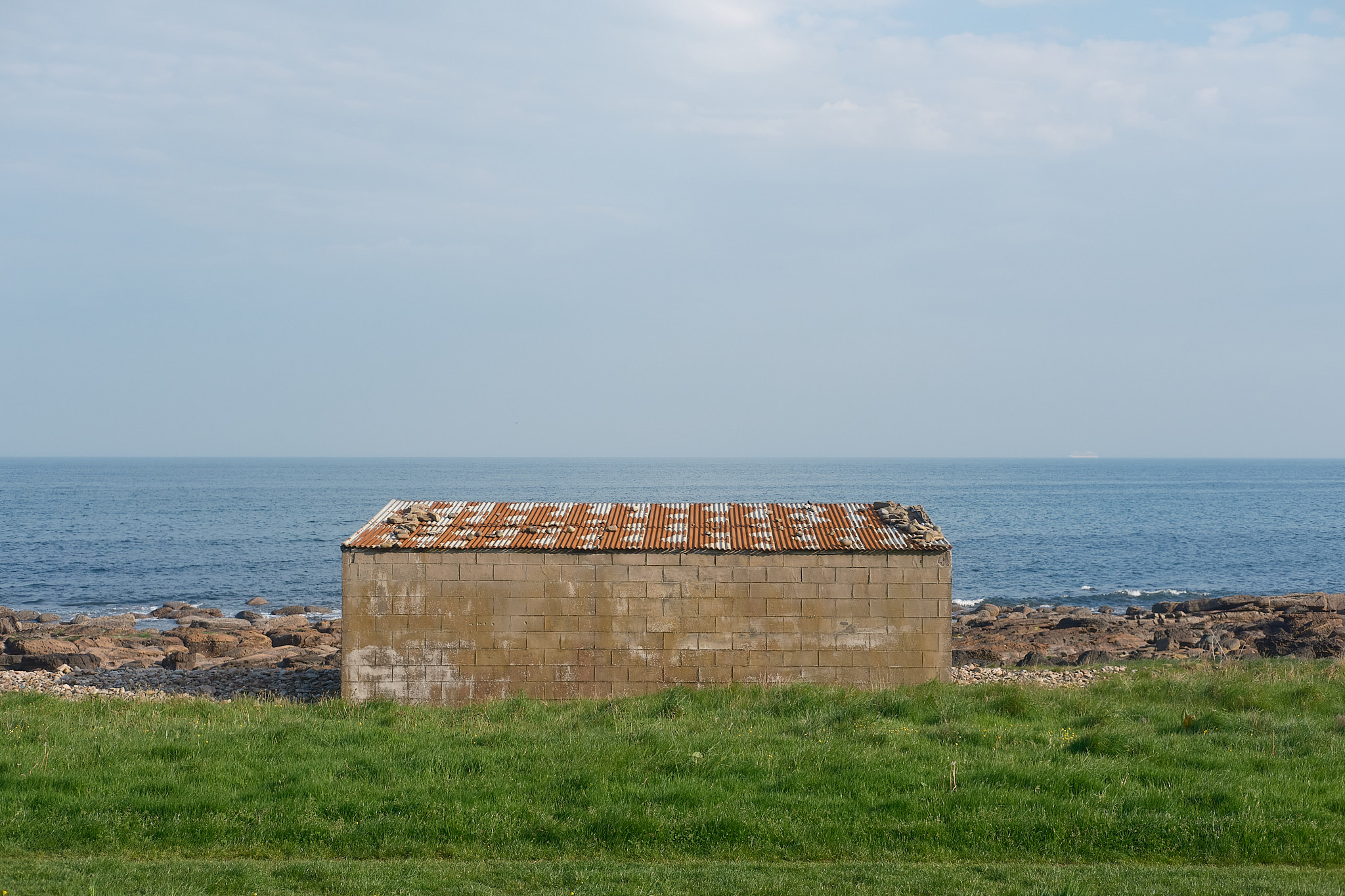 Easter Ross Peninsula - 2024