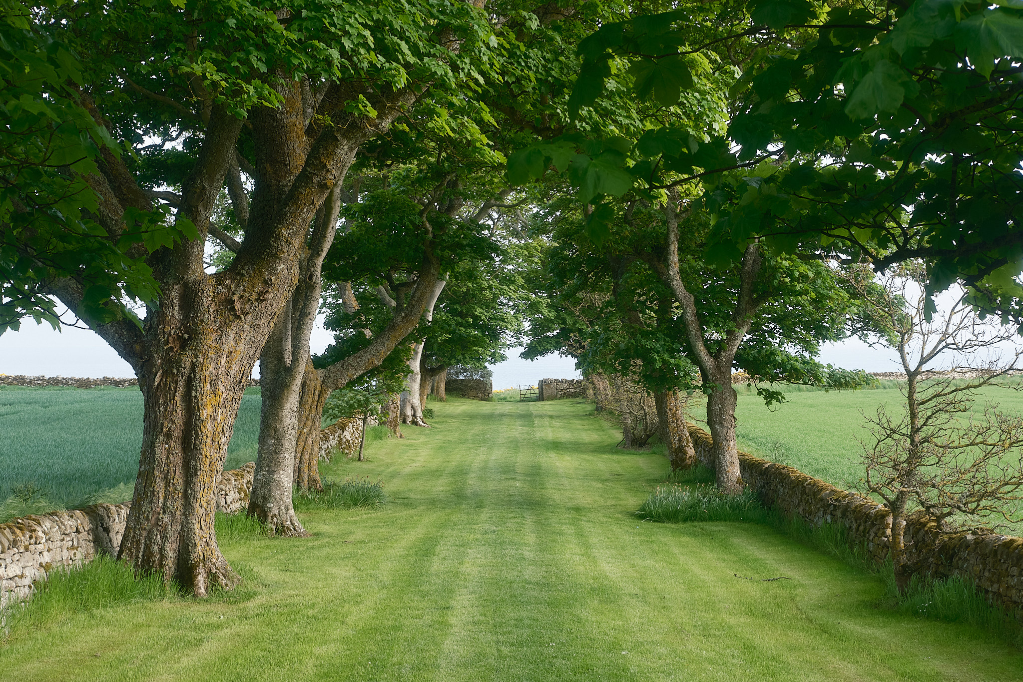 Easter Ross Peninsula - 2024