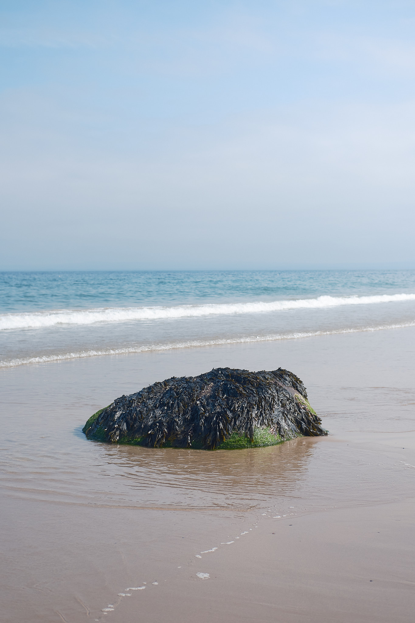 Easter Ross Peninsula - 2024