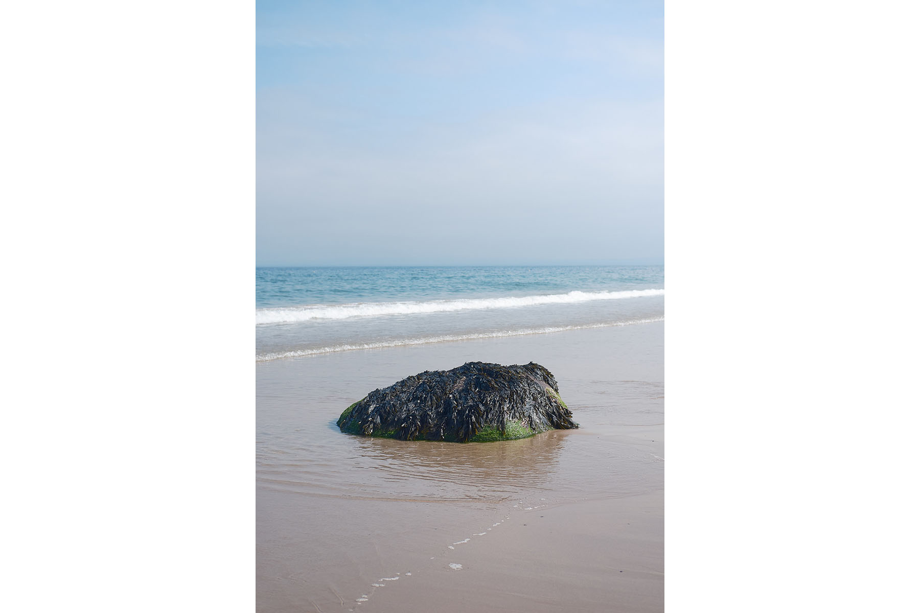 James Johnstone - Easter Ross Peninsula, Scotland - Travel photography