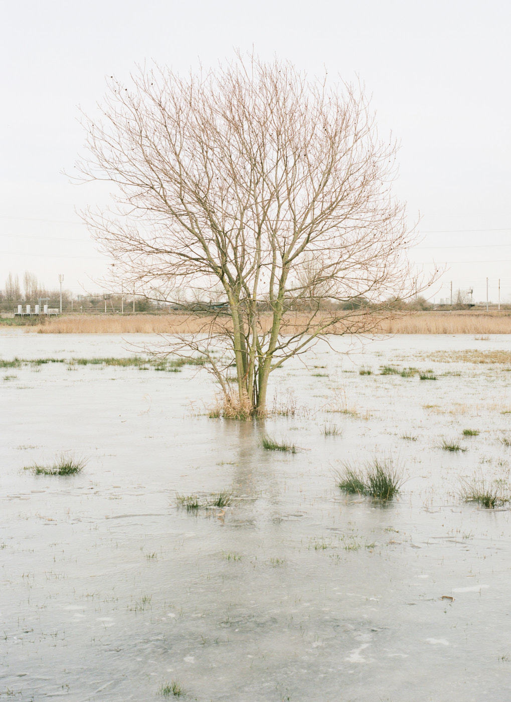 Walthamstow Marshes, flooded and frozen