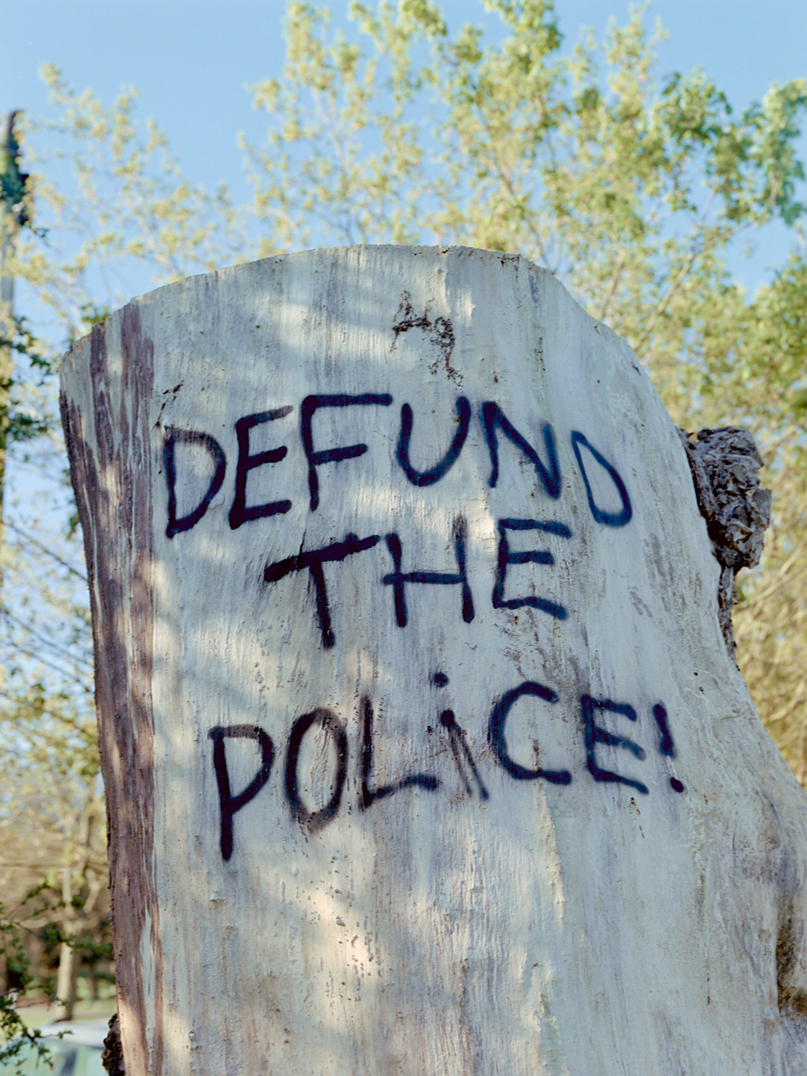 Defund the Police - Springfield Park