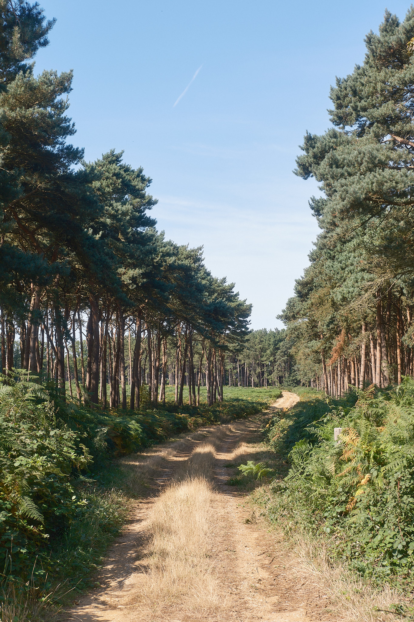 Sizewell, Suffolk