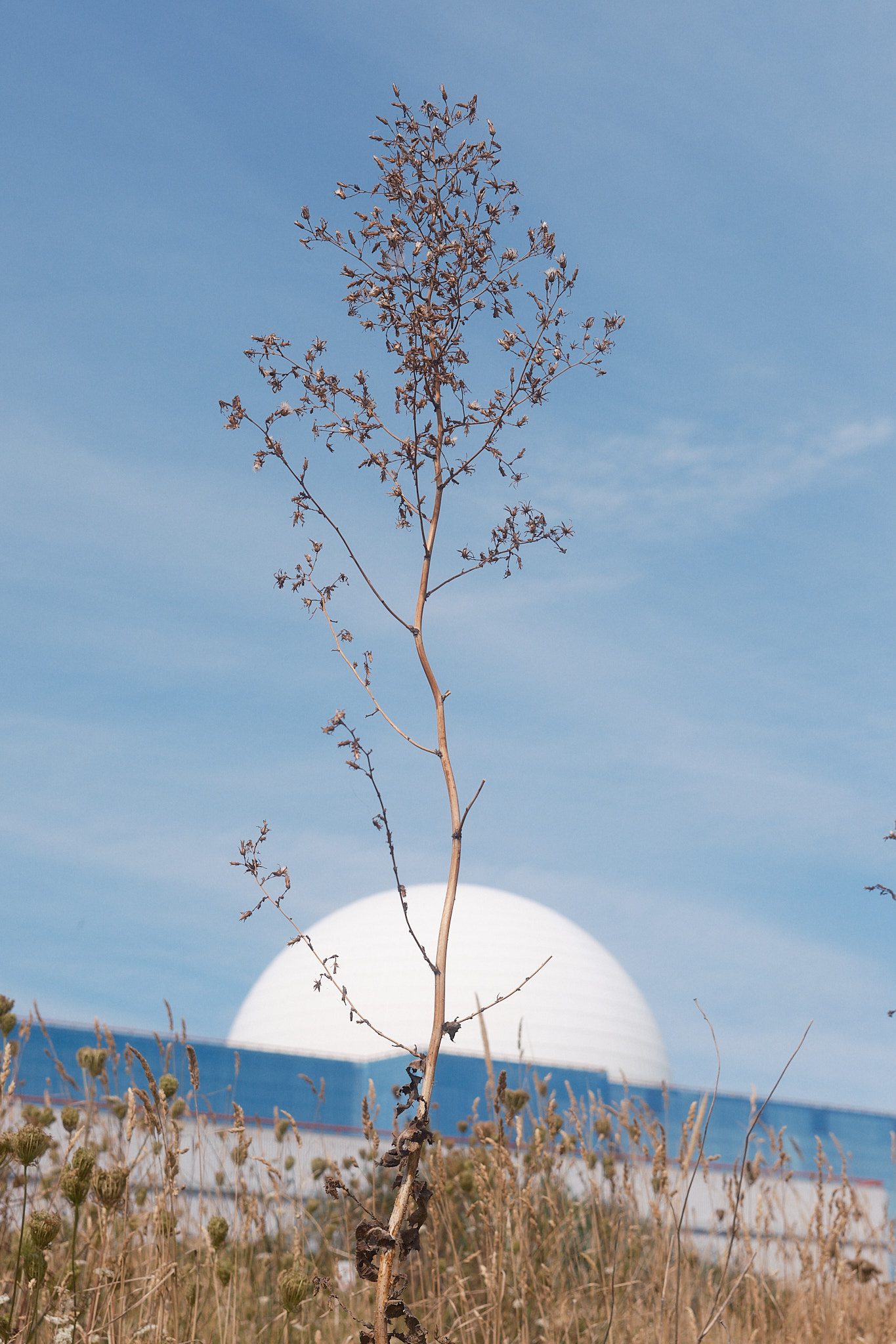 Sizewell, Suffolk