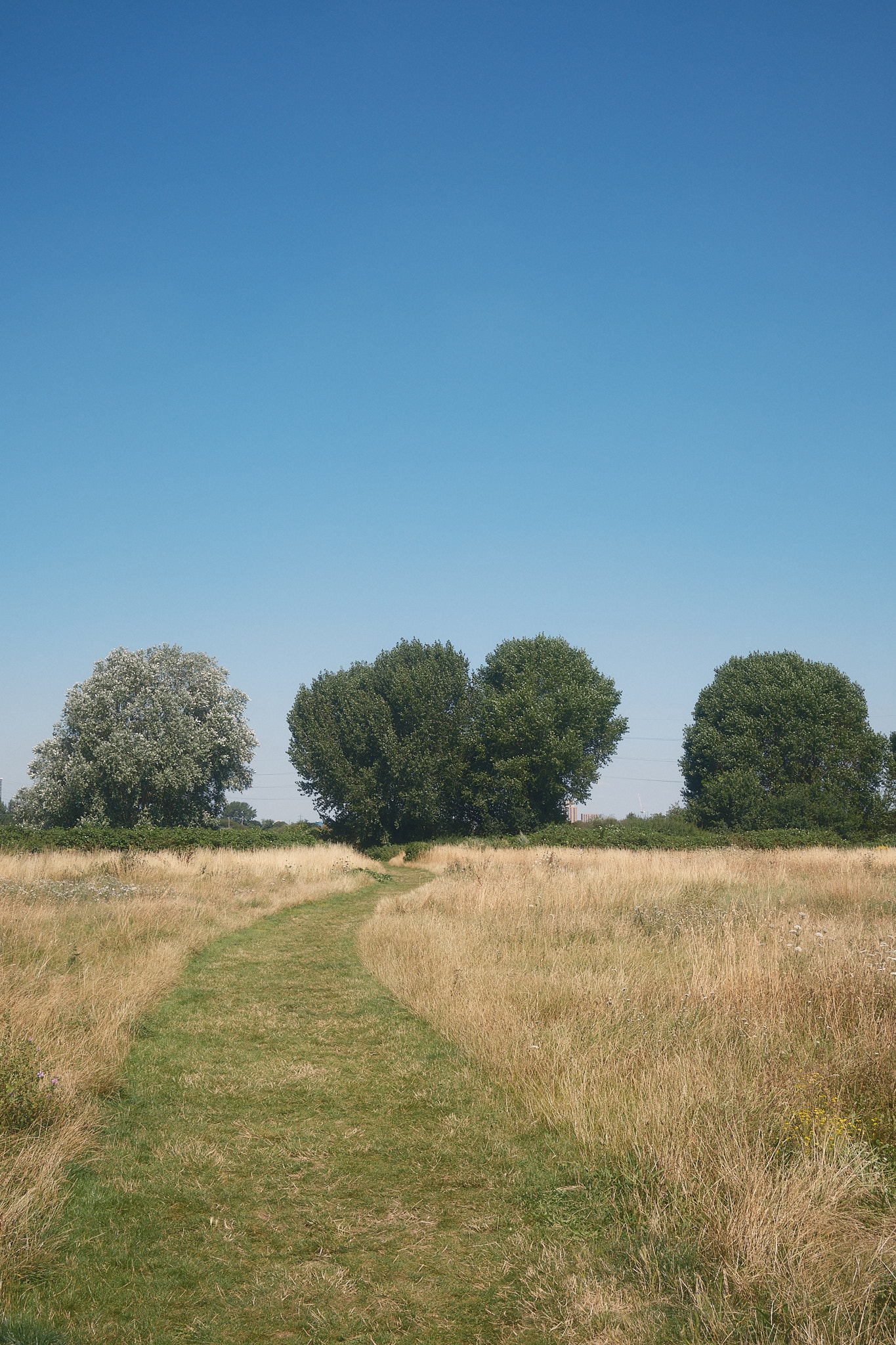 lee valley landscape