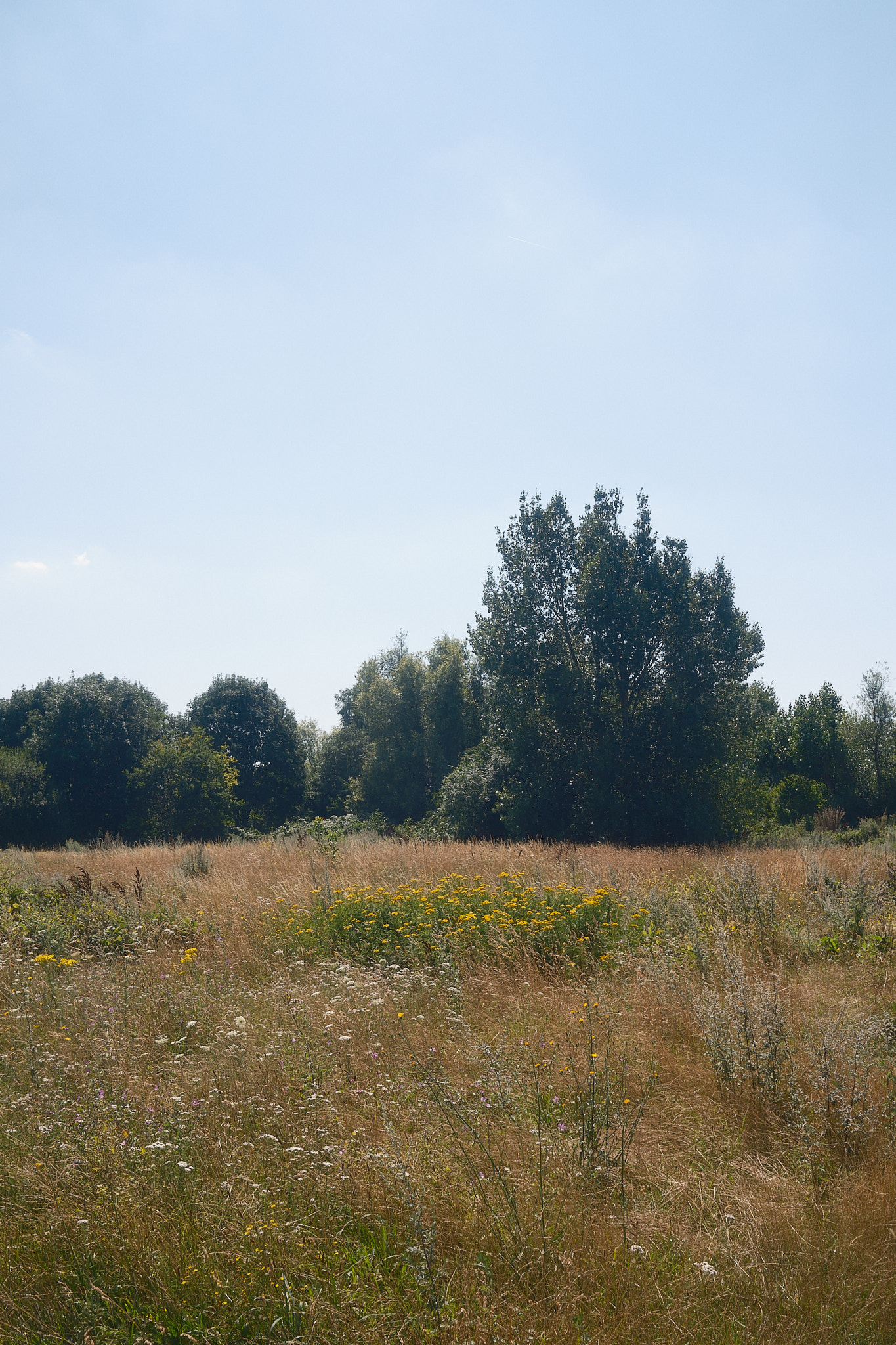 lee valley landscape